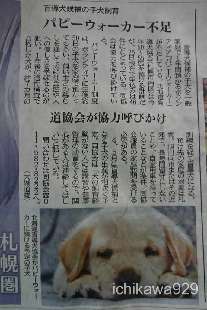 盲導犬育成ボランティア パピーウォーカー不足について 札幌市で頼りになるクリーニング店をお探しなら イチカワクリーニングまでご相談下さい
