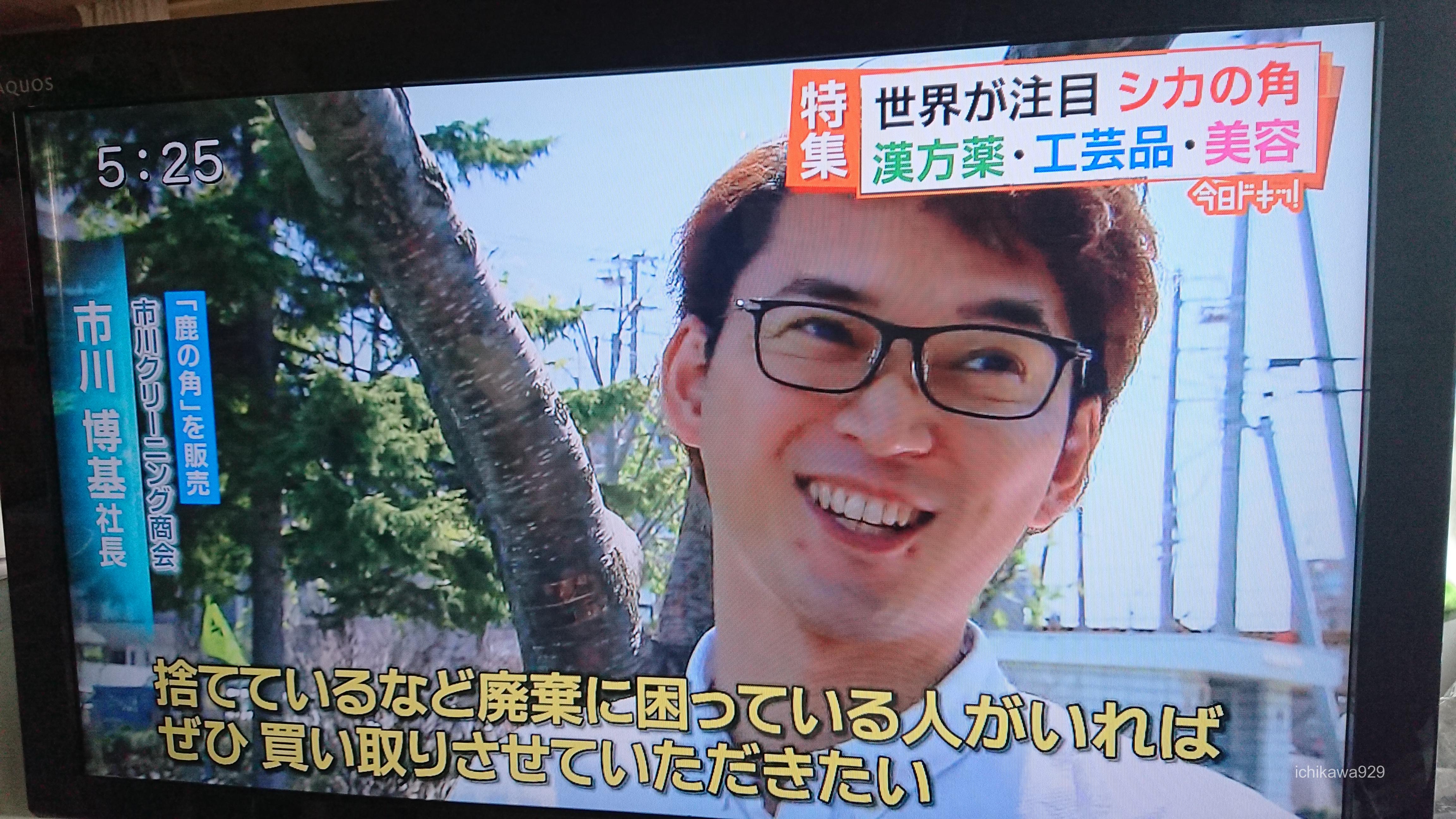 鹿の角買取します 引取ります 北海道 札幌市で頼りになるクリーニング店をお探しなら イチカワクリーニングまでご相談下さい