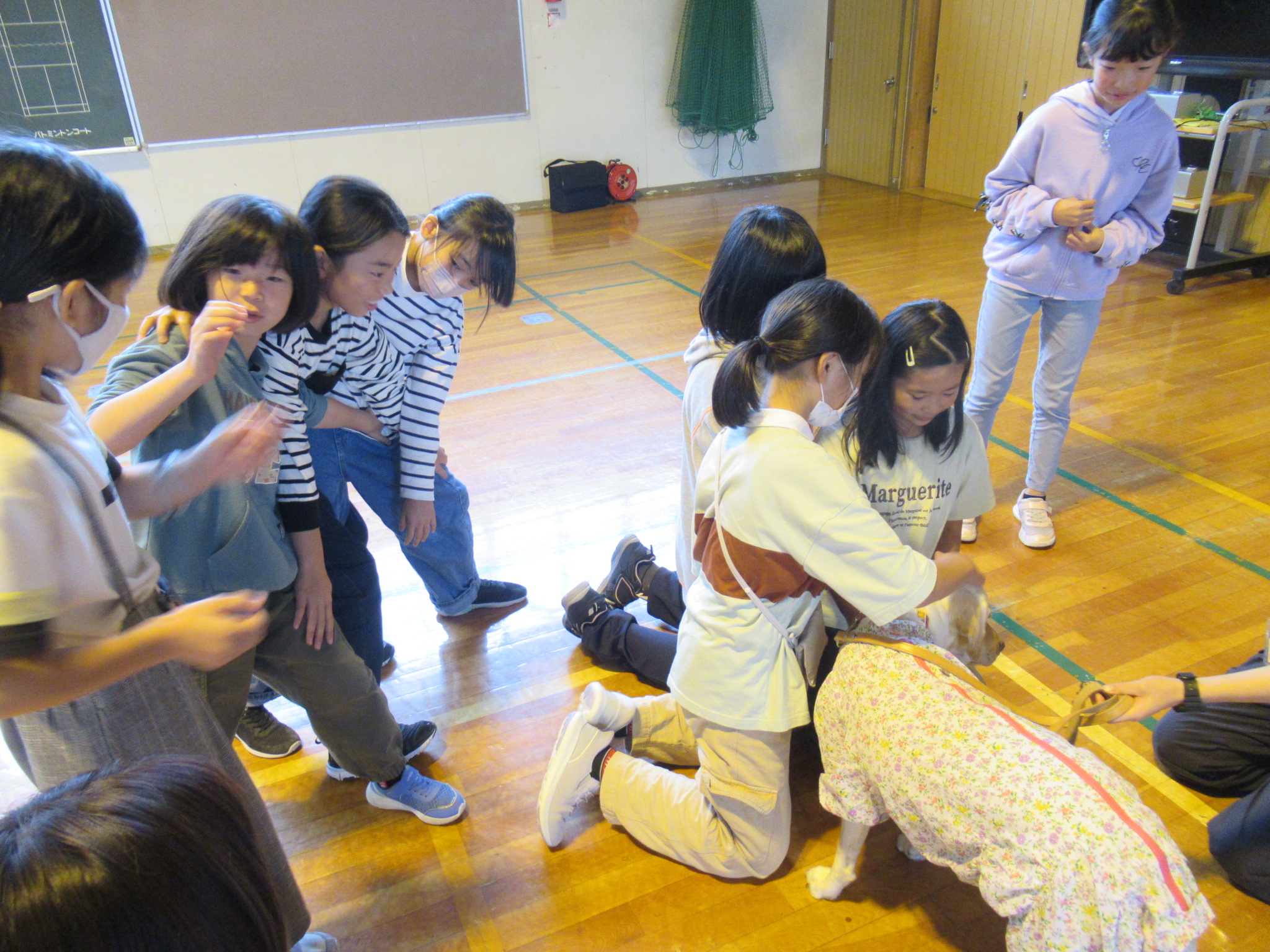 北海道盲導犬啓発教室